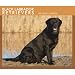Black Labrador Retrievers 2009 Boxed Calendar