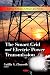 Smart Grid and Electric Power Transmission (Energy Policies, Politics and Prices)