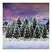 Search : Hawthorne Village Frosty Winter Splendor Landscape Village Accessory