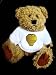 Teddy Bear with decorated, pottery, pot, vessel, china, container, asia, urn t-shirt