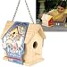 Outdoor Living : TOYSMITH Paint-A-Birdhouse