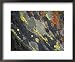 A Close View of Crustose Lichens Growing on Tombstone Slate National Geographic Colle...