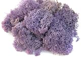 Super Moss 25141 Reindeer Moss Preserved, Purple, 8-Ounce