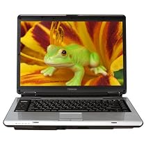 Toshiba Satellite A135-S2266 15.4" Widescreen Laptop (Intel Celeron M Processor 430, 512 MB RAM, 80 GB Hard Drive, SuperMulti DVD Drive, Vista Basic)
