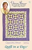 Quilt In A Day EB-1281 Eleanor Burns Pattern, Opposites Attract