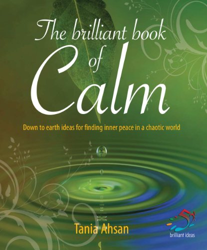 Brilliant book of calm (52 Brilliant Ideas)