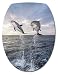 Sticker Autocollant Abattant WC Dauphins 26x34cm réf 035