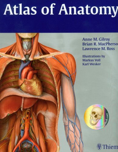 Atlas of Anatomy by Gilroy, Anne M, MacPherson, Brian R, Ross, Lawrence M, Schue [Thieme Medical Pub,2008] (Paperback)