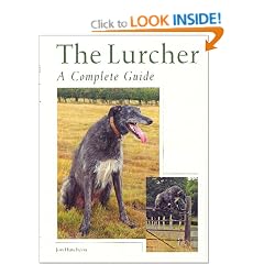 The Lurcher: A Complete Guide