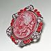 Pugster July Birthstone Oval Red Beauty Cameo Brooches And Pins Vintage