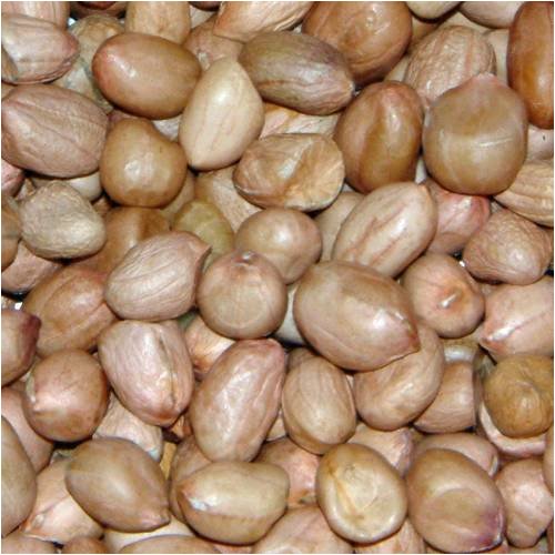 25KG SACK OF PEANUTS FOR BIRD FOOD