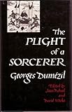 The plight of a sorcerer