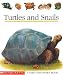 Book Turtles & Snails (First Discovery)