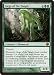 Magic: the Gathering - Liege of the Tangle - Scars of Mirrodin