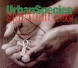 Spirtual Love