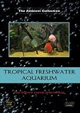 Tropical Freshwater Aquarium