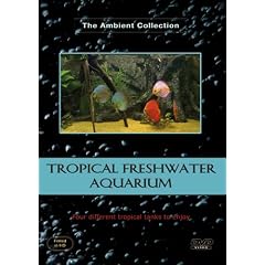 Tropical Freshwater Aquarium - Aquarium tropical d'eau douce