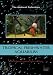 Tropical Freshwater Aquarium