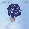 Image of album by John Illsley