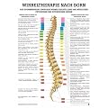 Anatomisches Poster "Wirbeltherapie nach Dorn", 70x50 cm