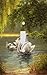 Swan Lake Decorative Switchplate Cover