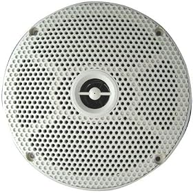 Seaworthy 6 100 Watt Marine 2-Way by