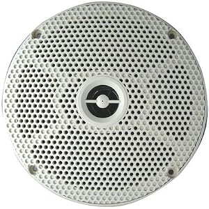 Seaworthy 6 100 Watt Marine 2-Way by