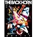 �n���̃p���X(��������) [DVD]