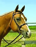 Perri's Leather Raised English Bridle
