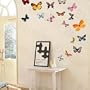 Butterflies - Wall Decals Stickers Appliques Home Decor