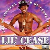 The Wonderful World Of Cease