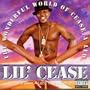 The Wonderful World Of Cease