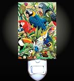 Tropical Bird World Decorative Night Light