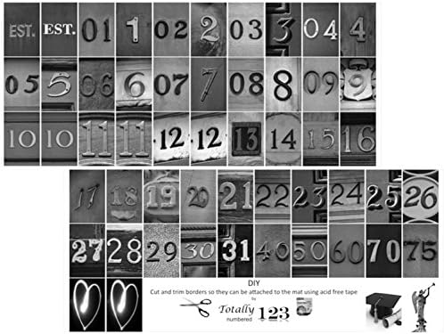 Dated Bride & Groom 8 by 10 inch Portrait with DIY Unique Personalized Black & White Number Photographs, Cut and Tape- Including our 11 by 14 inch Self Standing Frame w/ Hanger