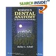 Woelfel's Dental Anatomy: Its Relevance to Dentistry (Point (Lippincott Williams and Wilkins)) by Rickne C Scheid