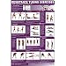 Resistance Tubing Poster - Lower Body