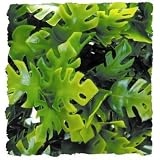 Natural Bushy Amazon Phyllo - Small 8 - 10