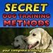 Secrets Dog Training Methods: Your Complete Training Guide 51fCRh6j%2B%2BL. SL75 Model Train Help Ebook 4th Edition.