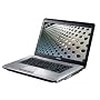 Toshiba - Satellite L450D-119 - Notebook 15,6" - A&hellip de Toshiba