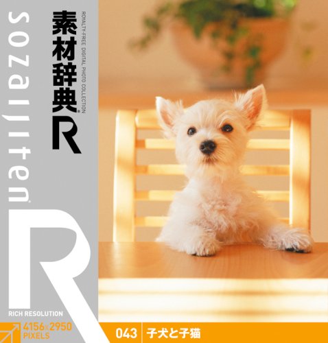 【Amazonの商品情報へ】素材辞典[R(アール)] 043 子犬と子猫