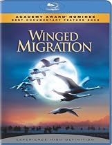 Stream Winged Migration.