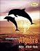 Books : Introductory Algebra (softcover)