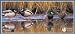 Pomegranate Waterbirds Panoramic Boxed Note Card Set (Pack of 2)