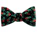 Holly Freestyle Bowtie by Wild Ties - Black Silk