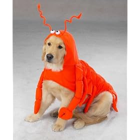 LARGE - LOBSTER PAWS - Dog Halloween Costume