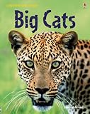 Big cats