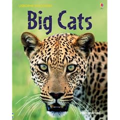 Big Cats (Usborne Discovery)