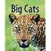 Big Cats (Usborne Discovery)