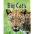Big Cats (Usborne Discovery)