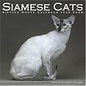 Siamese Cats 2008 Wall Calendar